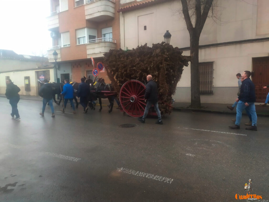 San Antón no se rinde: el concurso de remolques ya tiene ganador y el tapeo mantiene el pulso del día 34 san anton celebracion concurso remolque con cepas 34