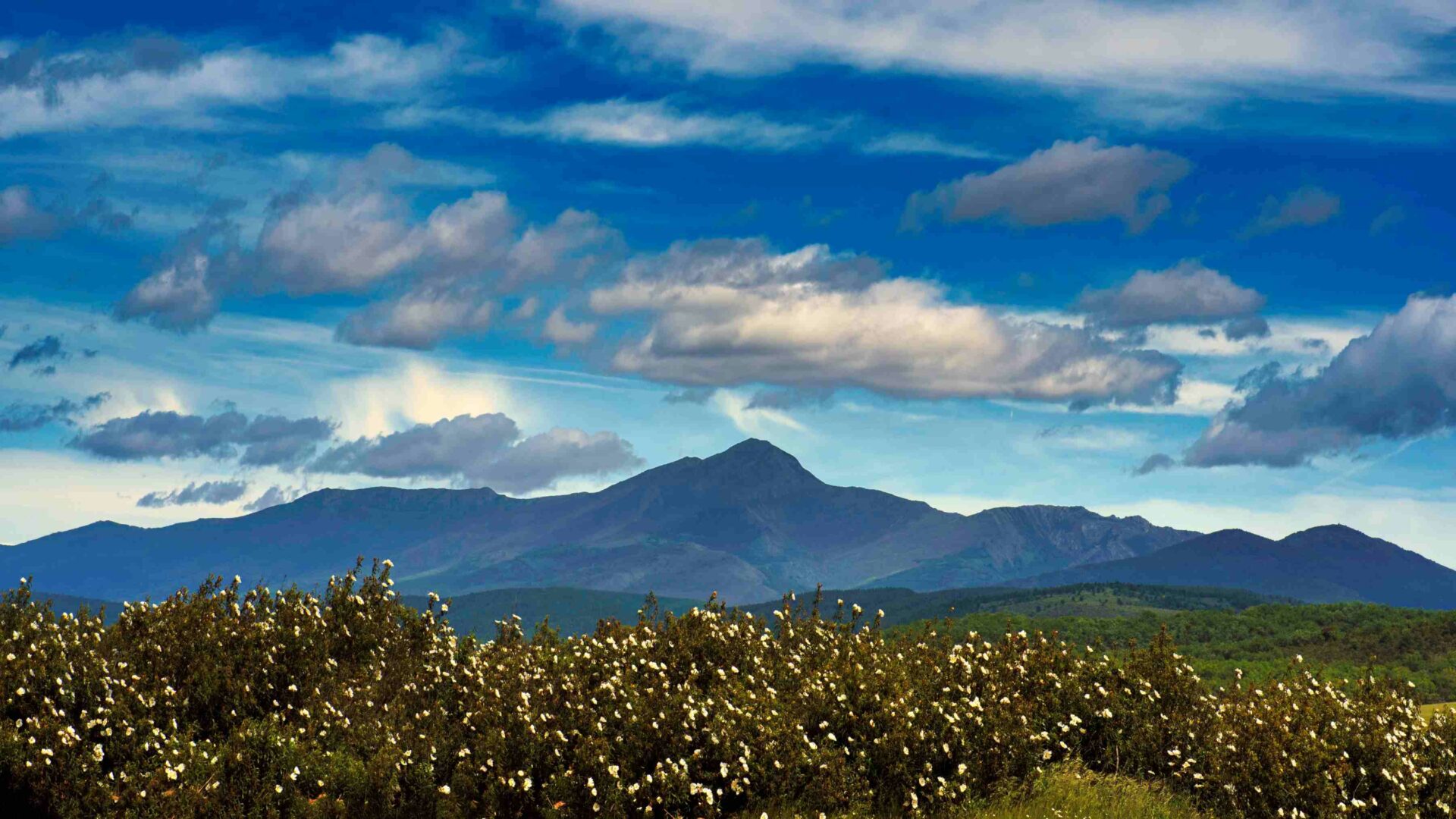 La Sierra Norte de Guadalajara demuestra que la despoblación se puede revertir
