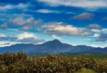 La Sierra Norte de Guadalajara demuestra que la despoblación se puede revertir