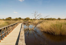 La Junta resuelve las ayudas para las áreas de influencia socioeconómica de los Parques Nacionales en Castilla-La Mancha, Cabañeros y Las Tablas