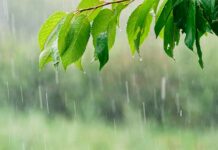 El tiempo en Castilla-La Mancha hoy (21 de enero de 2026): llegan las lluvias por la tarde y baja la cota de frío El tiempo en Castilla-La Mancha hoy (21 de enero de 2026): llegan las lluvias por la tarde y baja la cota de frío