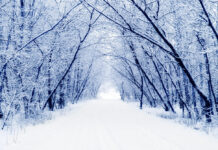 Tiempo en Castilla-La Mancha hoy, 5 de enero de 2026: nieve a primera hora y heladas para la víspera de Reyes