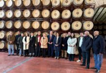 La Junta señala el interés de las bodegas por mejorar sus instalaciones y procesos y así lo indican las 84 solicitudes presentadas a la convocatoria VINATÏ La Junta señala el interés de las bodegas por mejorar sus instalaciones y procesos y así lo indican las 84 solicitudes presentadas a la convocatoria VINATÏ