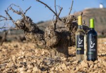 El Consejo Regulador de la DO La Mancha califica la añada 2025 como excelente El Consejo Regulador de la DO La Mancha califica la añada 2025 como excelente