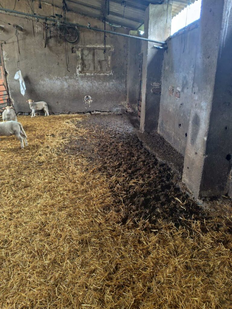 ASAJA Ciudad Real alerta de los graves daños que los temporales de lluvia y viento están causando en el campo 1 asajaciudadrealdanos 12