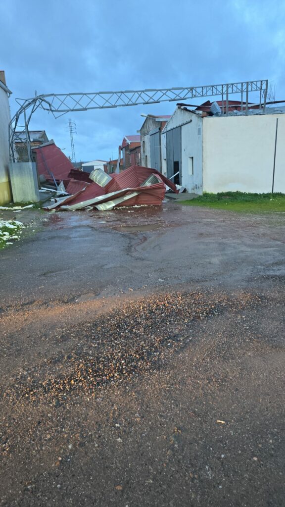 ASAJA Ciudad Real alerta de los graves daños que los temporales de lluvia y viento están causando en el campo 10 asajaciudadrealdanos 2
