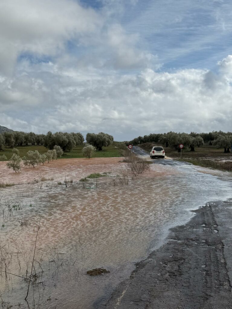 ASAJA Ciudad Real alerta de los graves daños que los temporales de lluvia y viento están causando en el campo 5 asajaciudadrealdanos 8