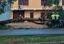 Con este temporal, prefiero prevenir antes que lamentar