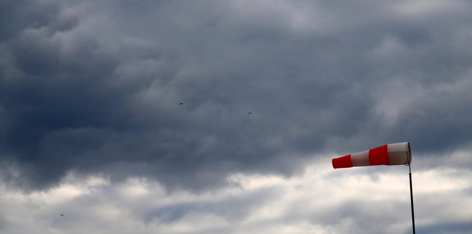 Tomelloso activa la alerta por viento y cierra parques y espacios públicos este jueves 5 de febrero