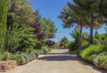 Comienzan a reabrir sus puertas al público los parques y jardines de Tomelloso tras la reparación de daños ocasionados por el temporal