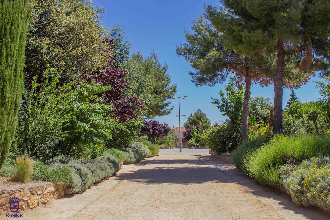 Comienzan a reabrir sus puertas al público los parques y jardines de la localidad tras la reparación de daños ocasionados por el temporal