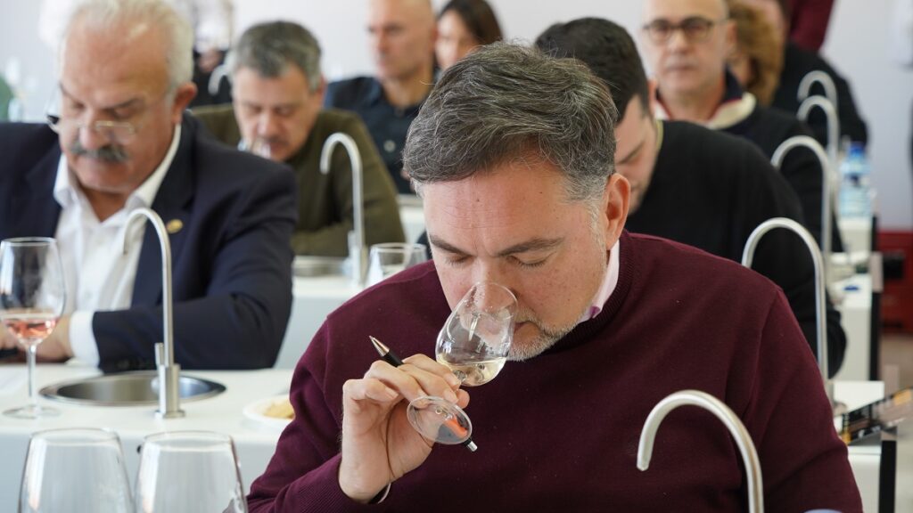 DO La Mancha elige a sus mejores vinos en la cata final del XXXIX Concurso a la Calidad 3 concurso calidad vinos 2