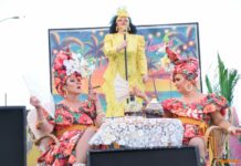 Tomelloso se planta ante el viento y firma un Desfile Nacional de Carrozas y Comparsas “de los que hacen afición”