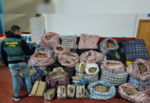 Tres detenidos por robar y enviar adormidera a España y Estados Unidos