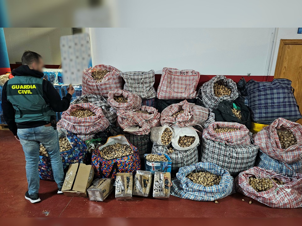 Tres detenidos por robar y enviar adormidera a España y Estados Unidos 1 detenidos adormidera