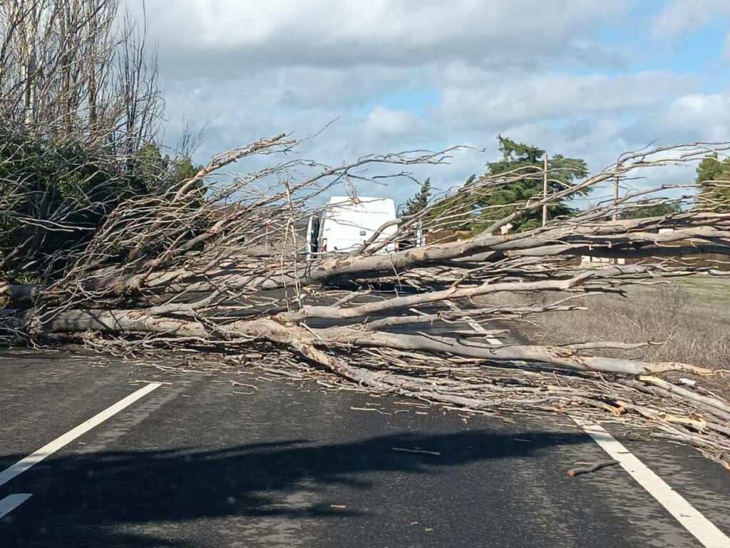 Diez carreteras provinciales permanecen cortadas y todos los efectivos de las brigadas de la Diputación de Ciudad Real trabajan para garantizar la seguridad 2 diez carreteras provinciales 2