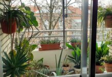 El ejercicio de observar