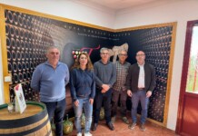 El Gobierno de Castilla-La Mancha impulsa la modernización del sector vitivinícola con más de 153.000 euros en ayudas VINATI en Hoya-Gonzalo El Gobierno de Castilla-La Mancha impulsa la modernización del sector vitivinícola con más de 153.000 euros en ayudas VINATI en Hoya-Gonzalo