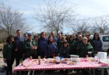 Cerca de 300 viticultores reciben 3,8 millones para la reestructuración de casi 1.000 hectáreas