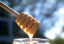 La Junta convoca las ayudas a la apicultura correspondientes a la campaña 2026 a las que destinará 1,4 millones