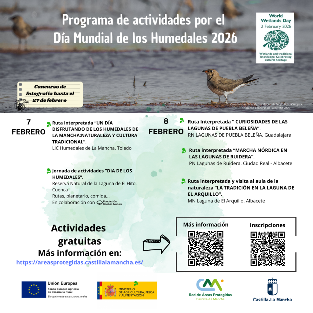 La Junta programa dos rutas interpretadas en la provincia de Albacete con motivo del ‘Día Mundial de los Humedales 2026’ 1 el gobierno regional programa dos rutas interpretadas en la provincia de albacete con motivo del dia mundial de los humedales 2026