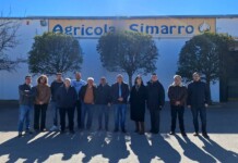 Castilla-La Mancha resalta el papel social del cultivo del ajo y refuerza su apuesta por la modernización del sector a través de las ayudas FOCAL