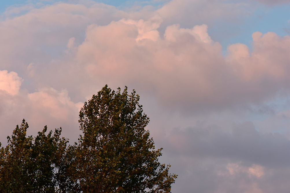 El tiempo en Castilla-La Mancha hoy 20 de febrero: cielos nublados, frío y posibilidad de heladas en zonas montañosas