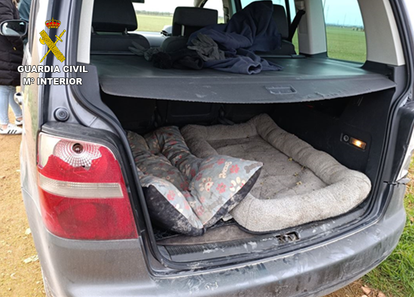 La Guardia Civil desarticula una red de furtivismo que generó alarma en Manzanares y Membrilla 1 La Guardia Civil desarticula una red de furtivismo que generó alarma en Manzanares y Membrilla