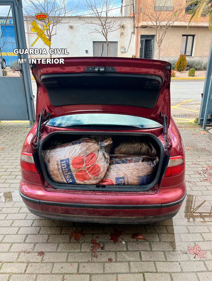 La Guardia Civil procedió a la aprehensión de dos partidas de aceituna hurtada en la provincia de Ciudad Real 3 hurto aceituna malagon 2