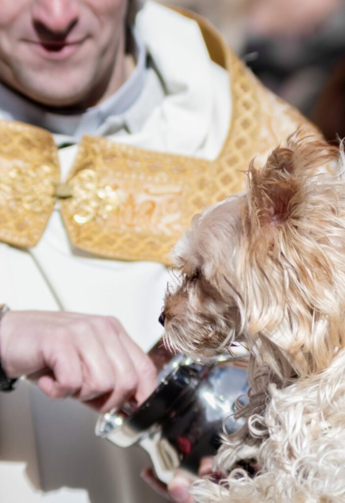 Santiago Benito conquista al jurado y firma el primer premio del I Concurso de Fotografía de San Antón 2 irina migallon.jpg