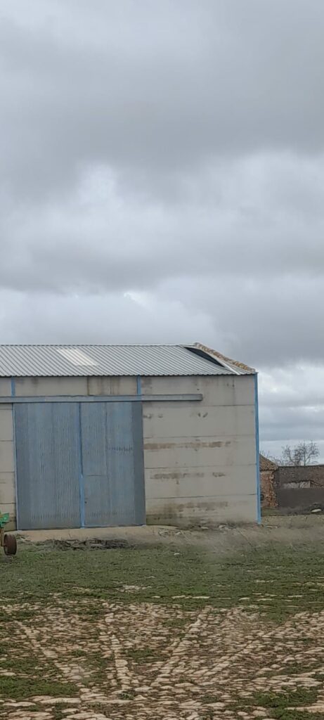 ASAJA Ciudad Real valora los daños ocasionados por el temporal Kristin en el sector agrario de la provincia 6 kristindanos 3