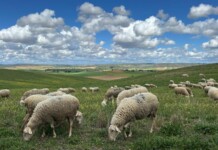 La Consejería de Agricultura, Ganadería y Desarrollo Rural activa su protocolo para aplicar la causa de fuerza mayor de forma individualizada