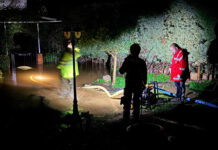 Leonardo motivó un intervención de emergencia la pasada madrugada por lluvias y el viento ha derribado varios árboles en Almodóvar del Campo