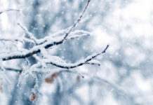 El tiempo en Castilla-La Mancha hoy, 8 de febrero de 2026: aviso por viento en Albacete y nieve en la Serranía de Cuenca