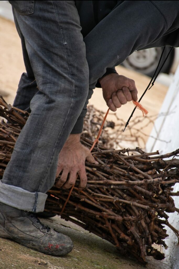 Santiago Benito conquista al jurado y firma el primer premio del I Concurso de Fotografía de San Antón 1 santiago benito lara 2