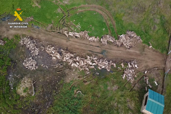 El SEPRONA de la Guardia Civil ha formulado varias denuncias por un exceso de capturas en una montería 1 sepronacr almaden 2