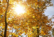 Tiempo en España hoy, 24 de febrero: suben las temperaturas y un frente atlántico asoma por Galicia