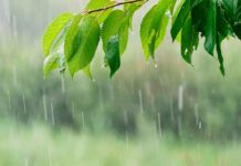 El tiempo en Castilla-La Mancha para el 4 de febrero de 2026: lluvias y bajas temperaturas