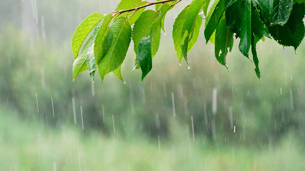 El tiempo en Castilla-La Mancha para el 4 de febrero de 2026: lluvias y bajas temperaturas