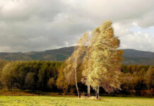 El tiempo en España hoy, 16 de febrero: viento fuerte en el este y lluvias persistentes en el norte