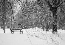 El tiempo en España 17 de febrero: esperan lluvias, nieve y descenso de temperaturas