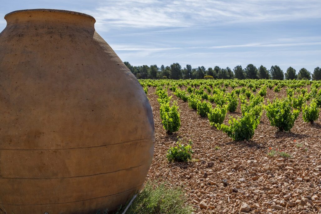 El viñedo desciende en la DO La Mancha, aunque mantiene su liderazgo y diversidad 3 vinedodesciendedo 3