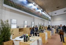 Barcelona Wine Week 2026 primera salida para los vinos DO La Mancha