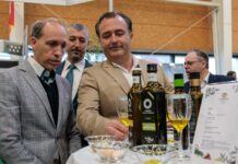 VOX CLM llevará a las Cortes una iniciativa para defender el olivar y el sector de los frutos secos de Castilla-La Mancha VOX CLM llevará a las Cortes una iniciativa para defender el olivar y el sector de los frutos secos de Castilla-La Mancha