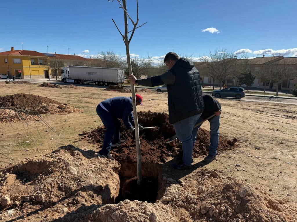 Cerca de un centenar de vecinos de Villacañas participan en la plantación del futuro Parque de la Diversidad con la iniciativa “Apadrina un árbol” 4 apadrinaarbol 5