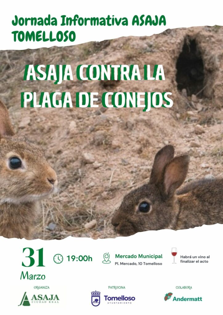 ASAJA Ciudad Real mueve ficha en Tomelloso ante la plaga de conejos que golpea al campo 1 ASAJA Ciudad Real mueve ficha en Tomelloso ante la plaga de conejos que golpea al campo