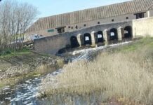 ASAJA Ciudad Real impulsa que se abra la compuerta del Molino de Molemocho en el Parque Nacional de las Tablas de Daimiel ASAJA Ciudad Real impulsa que se abra la compuerta del Molino de Molemocho en el Parque Nacional de las Tablas de Daimiel