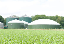IU Cuenca muestra su apoyo a la manifestación convocada en Campos del Paraíso contra las plantas de biogás y la proliferación de macrogranjas IU Cuenca muestra su apoyo a la manifestación convocada en Campos del Paraíso contra las plantas de biogás y la proliferación de macrogranjas