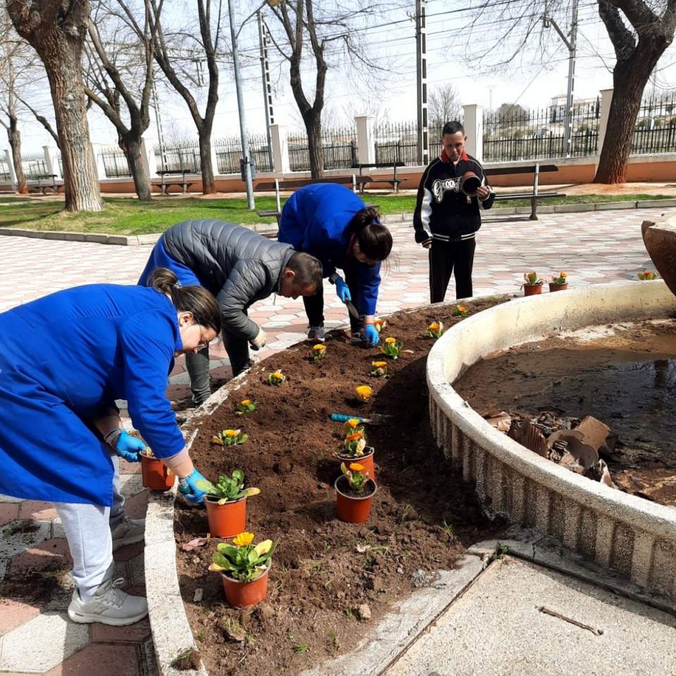 El Centro Ocupacional continúa con el cuidado de las zonas verdes y la plantación de flores en Villacañas 6 centro ocupacional villacanas 1