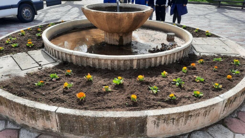 El Centro Ocupacional continúa con el cuidado de las zonas verdes y la plantación de flores en Villacañas 5 centro ocupacional villacanas 2